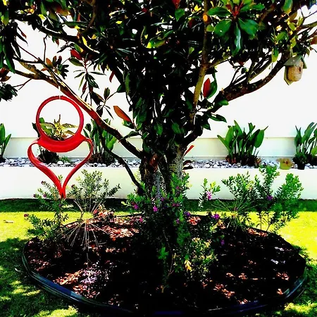 Michel's House 度假居