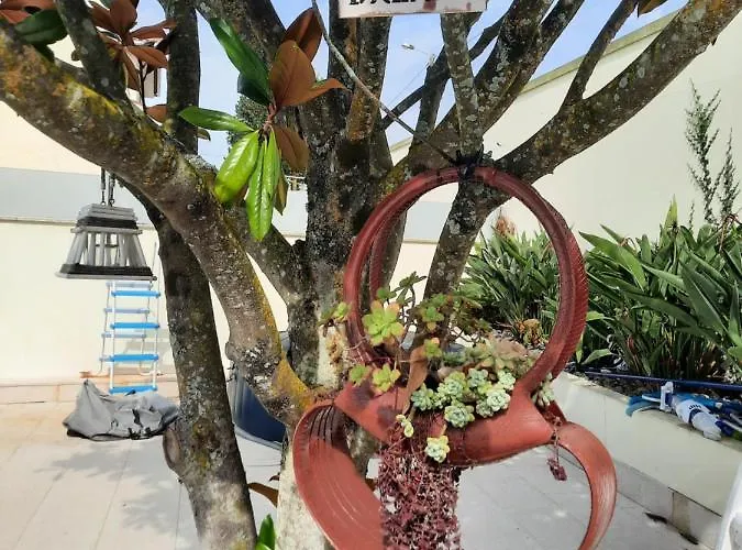 Michel's House 펜션 *